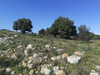 traro-30-12-2021 12-14-04